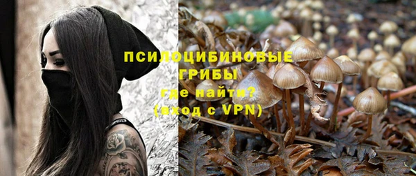 apvp Кинешма