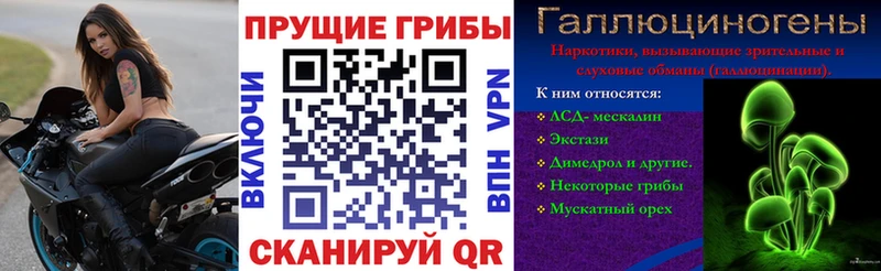 цена   мега ONION  Галлюциногенные грибы GOLDEN TEACHER  Кремёнки 